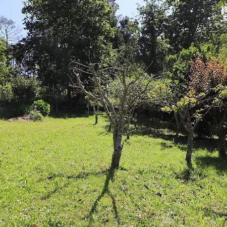 Vakantiehuis Soleda E Pepa Ii