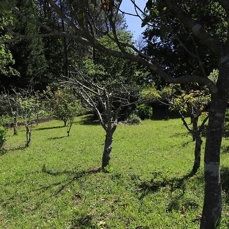Soleda E Pepa Ii