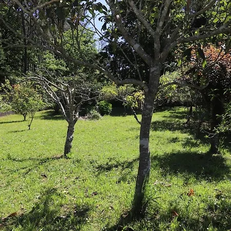 Soleda E Pepa Ii Vakantiehuis Noia